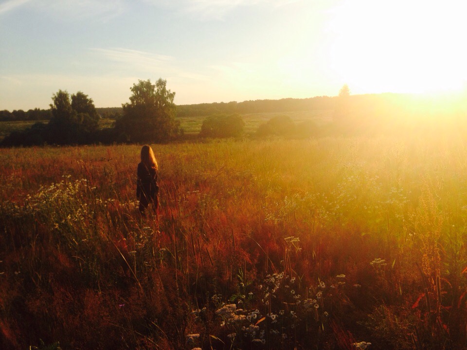 ����������� ������� ����� ������ - ���������������� �����������