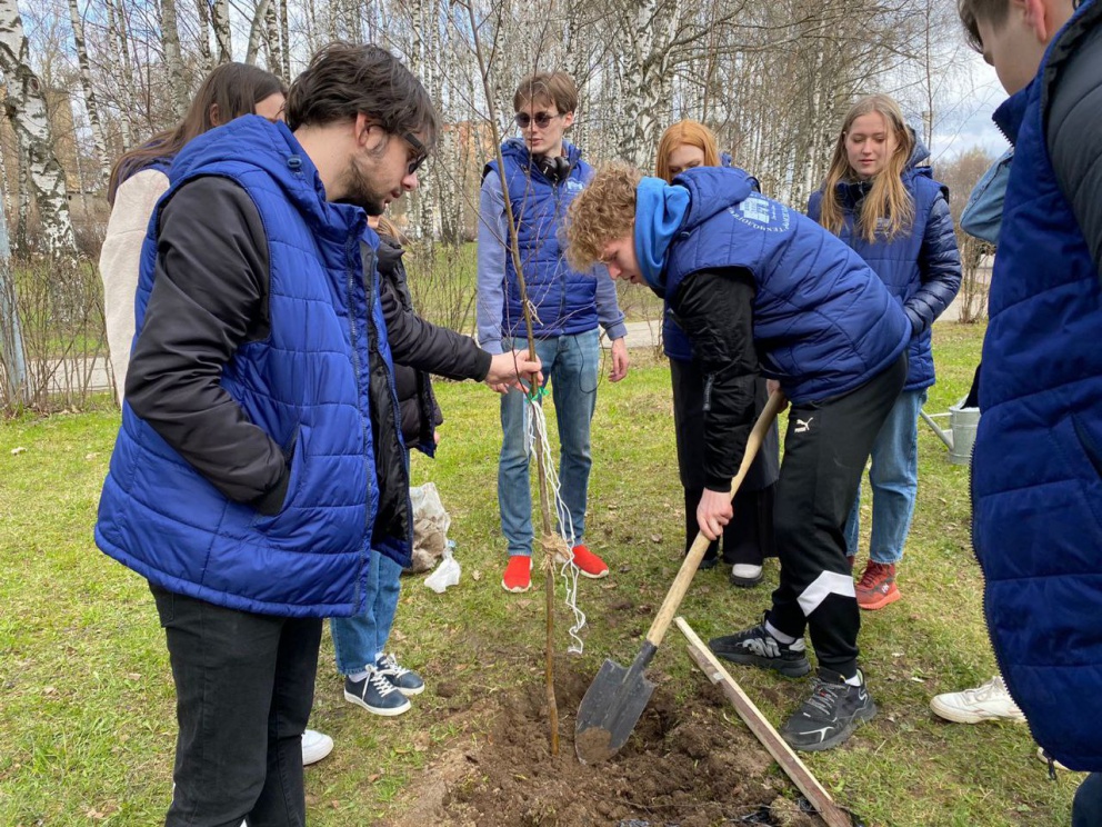 �������� ������������ ������� ������� � ������������� ����� ���� ������� - ���������������� �����������