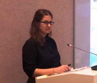 ��������� ������������ � ������� �������� ���� �������������� �������� ���� ���������������� ����������� - ���������������� �����������