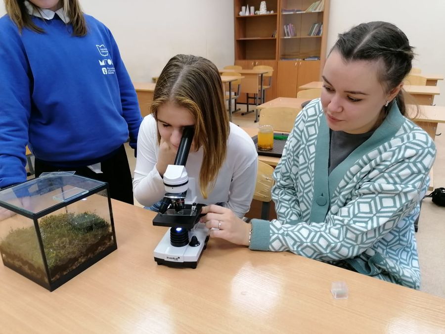 ��������� ������ �������� �� ������-������� � ��� - ���������������� �����������