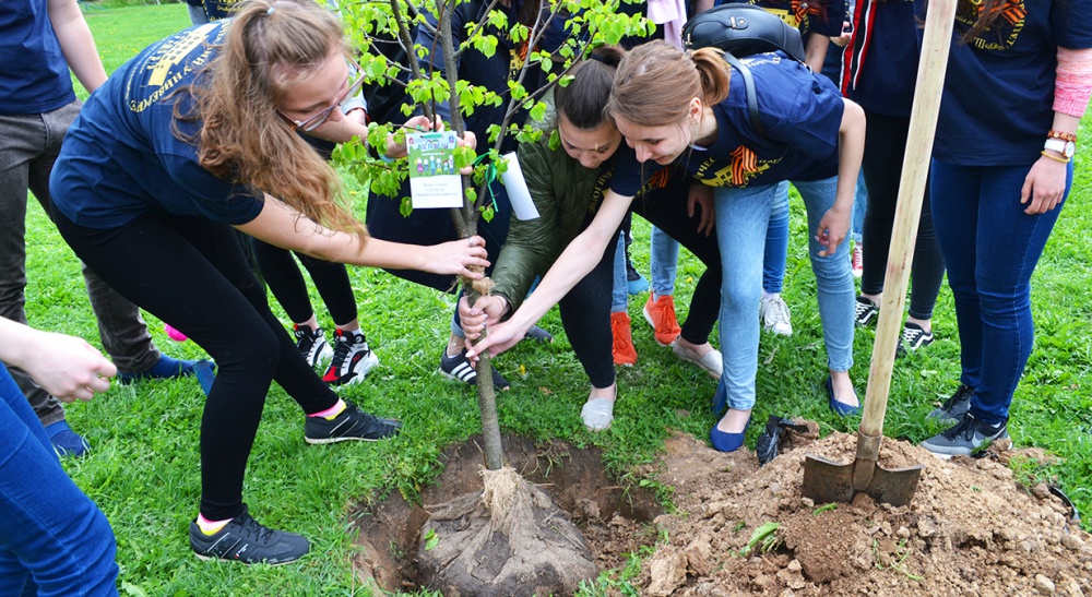 ��������������� ����������� �� ����� ���� ������� - ���������������� �����������