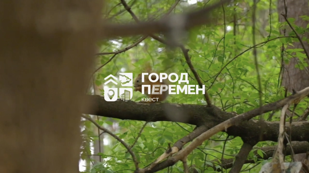 � �� � ��������� - ���������������� �����������
