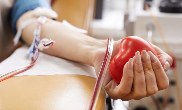 20 ������ ���������� ������������ ���� ������ ����� � ������ - ���������������� �����������