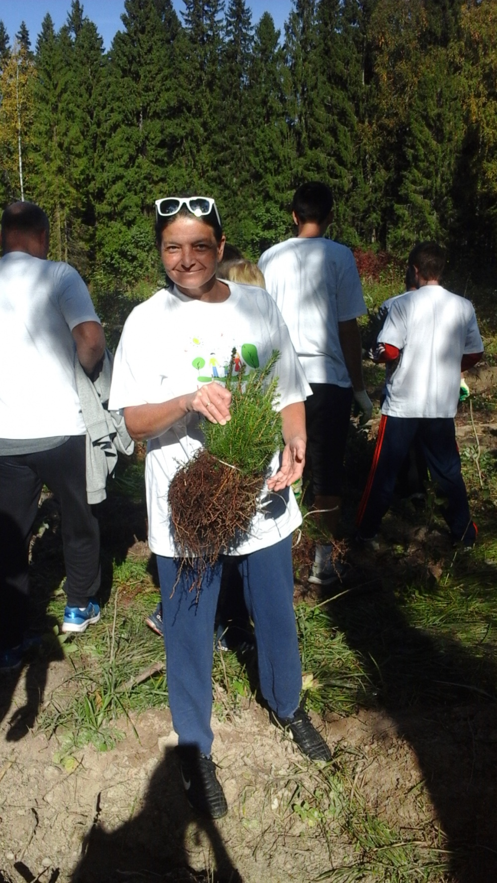 ������������ ������� ���� - ���������������� �����������