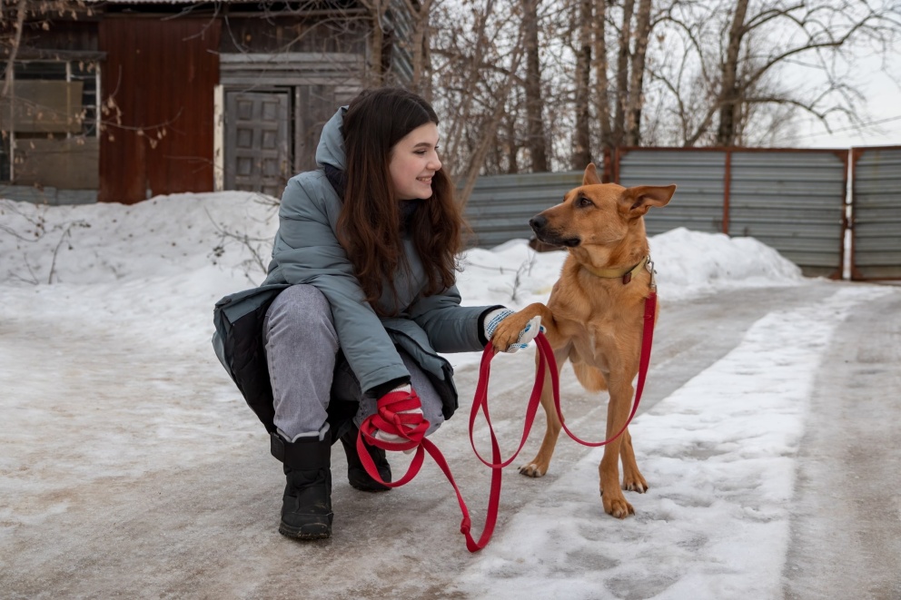 �������� ������������ �������� ����� ��� �������� - ���������������� �����������