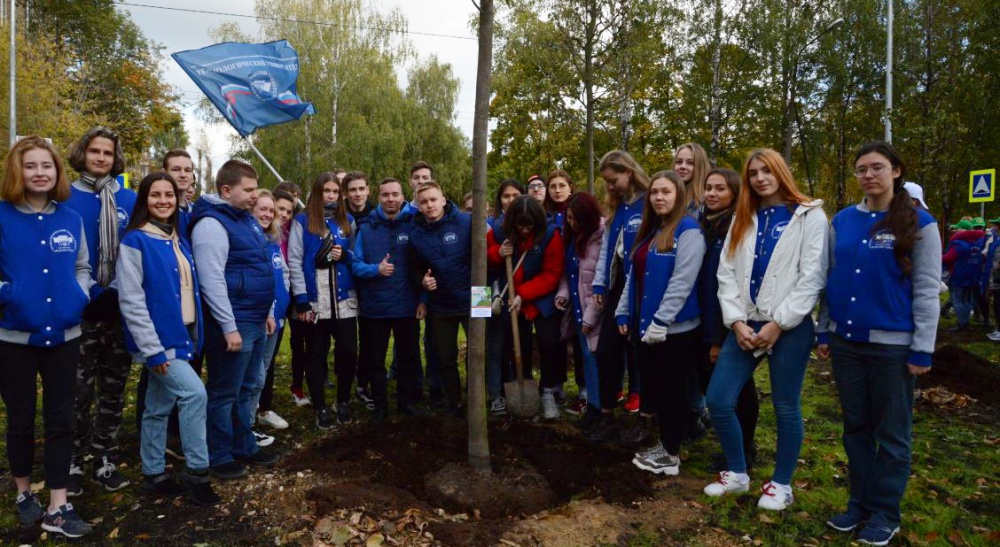 ����������� � �������� ������������� ����� ���� ���. ������ ��� ������ - ���������������� �����������