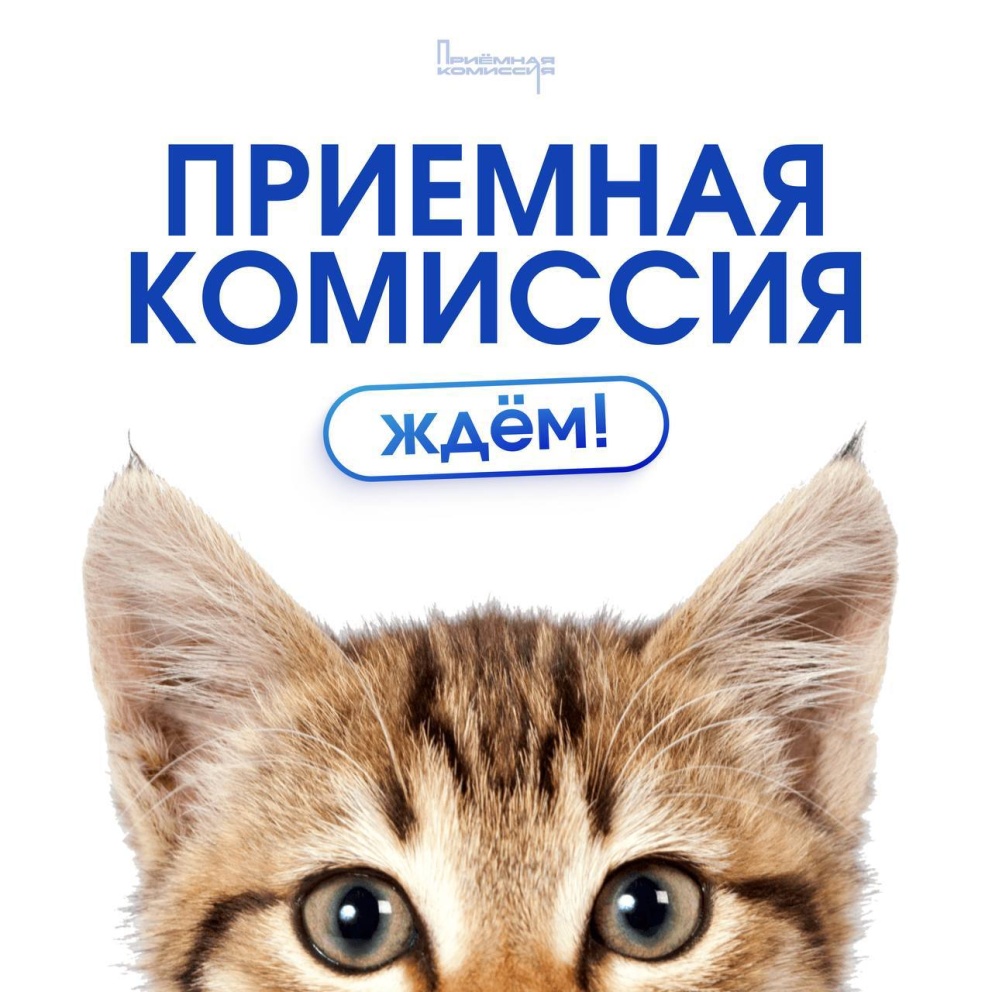 �������� �������� ���� ! - ���������������� �����������