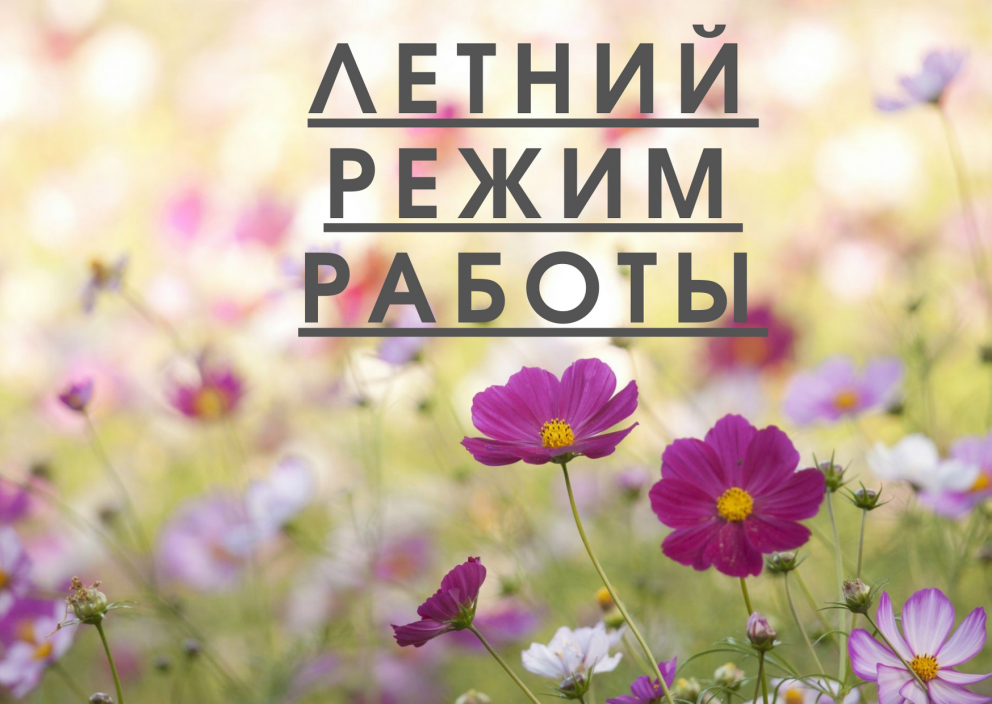 ������� �� ������ ����� ������ - ���������������� �����������