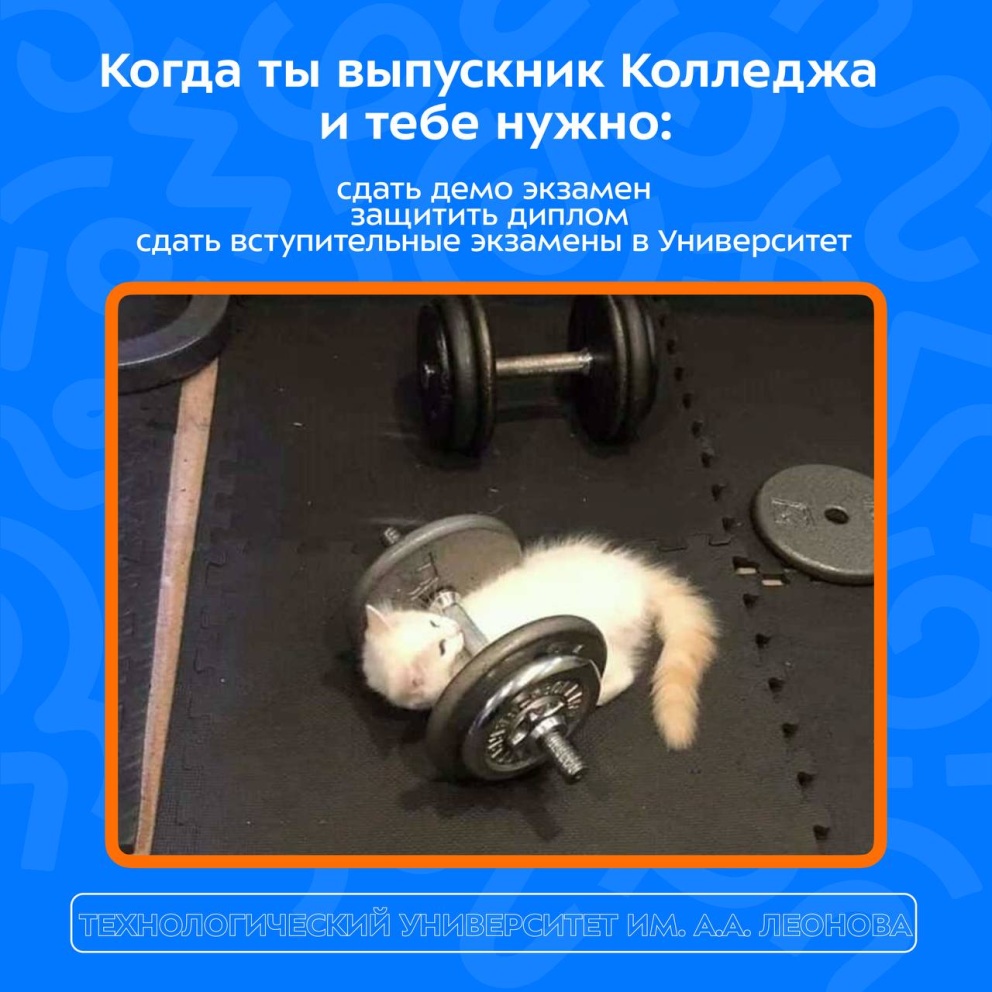 ���������� ��������, �� � ����!  - ���������������� �����������