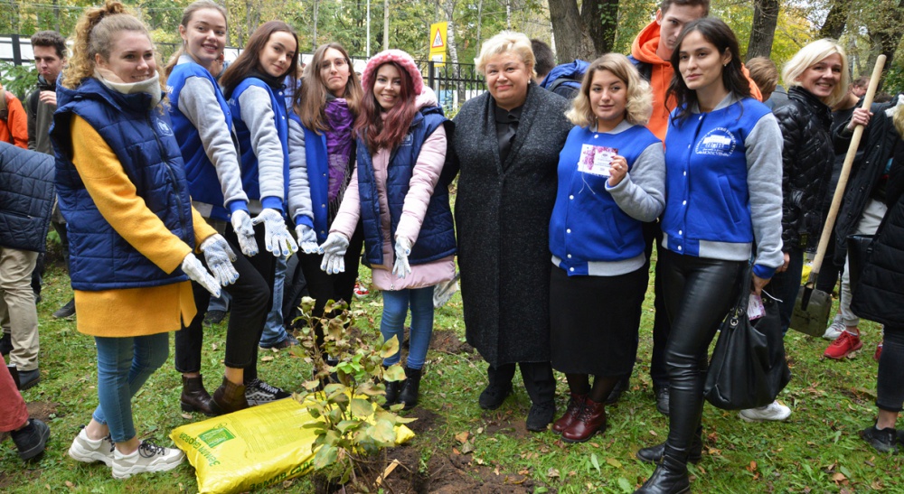 ������������� �������� � ������������ ���� ��������� ��� - ���������������� �����������