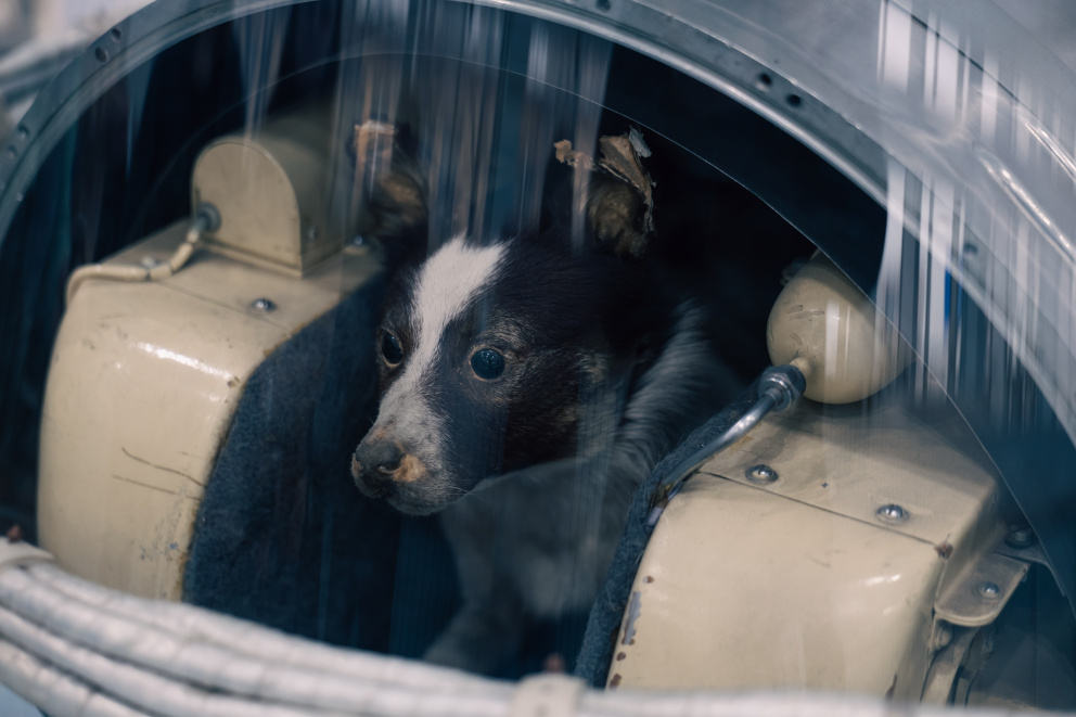 ������� ��������� � ������ ������ ������� - ���������������� �����������