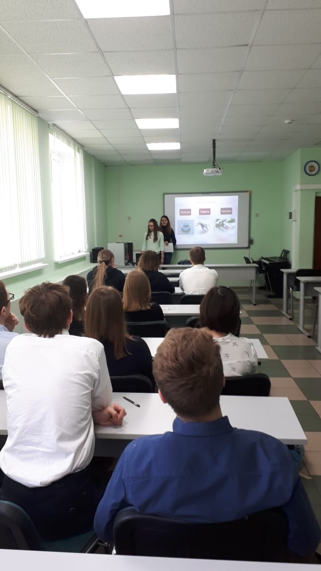 ������-����� ������ ������-���� - ���������������� �����������