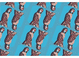 ��������� ��� �������� � �������� �������� ����