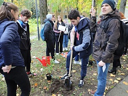 ������������� �������� � ������������ ����� �� �������