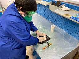 � ��������������� ������������ ������ ��������� ����� ��������