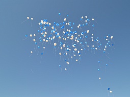 ������� � ����� ������ �������