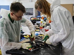 �������� ��� ������ ������ ����� �� ���������� "������������� 2024"