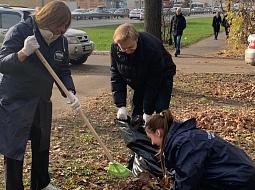 �������� ������������ ������������ ���������