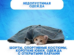 � �� �����, ��� � ������������ ���� ���� �����-���?