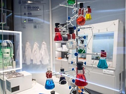 ������� ������� ������ ����������� ���������� �� ��������-������ ��������