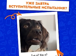 �� �� ������? ��� ������ ���������� ������������� ���������