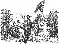 ������ �� �������� ����������� ������� �������������