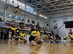 ���������� ������ ���������� �� ����-�������