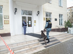 � ��������������� ������������ ������ �������������������� ���������� 