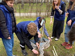 �������� ������������ ������� ������� � ������������� ����� ���� �������