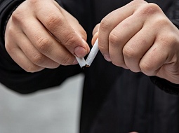 �������� �� �������