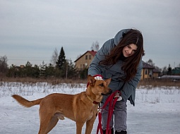 �������� ������������ �������� ����� ��� ��������