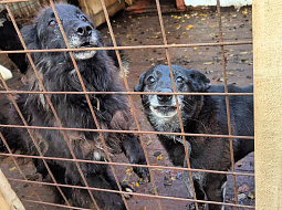 ����� ���� �����, ��� ������ ����, ���� � �������� ��� �������...