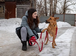 ������� ������������� ���� ������������