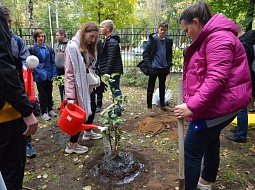 ������������� �������� � ������������ ���� ��������� ���