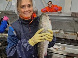 ���� ����� ������������� ��������� ������ �������� ����������� �������� �� ������� �������� �������� �� ������� �������