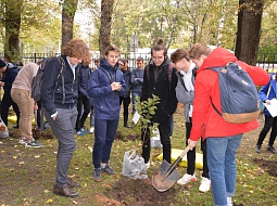 ������������� �������� � ������������ ���� ��������� ���