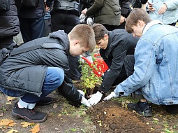 ������������� �������� � ������������ ����� �� �������