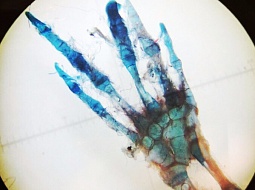 ��������� "�����" �������� ����������� "������ �����"