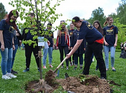 ��������������� ����������� �� ����� ���� �������