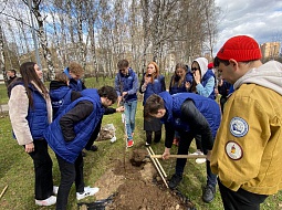 �������� ������������ ������� ������� � ������������� ����� ���� �������