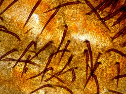 ��������� "�����" �������� ����������� "������ �����"