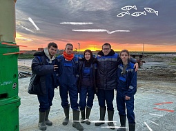 ��� �������� �� ����� �����