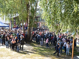 ���������� �������������� � �������� ���������������� ������������-2019