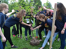 ��������������� ����������� �� ����� ���� �������