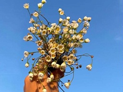 ��� ���, ��� ��������� ����� ����?