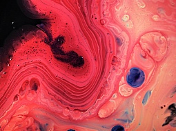 ��������� "�����" �������� ����������� "������ �����"