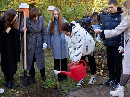 �������� �������� ������������