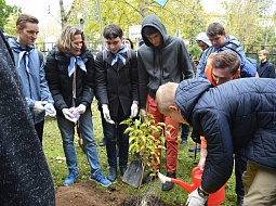 ������������� �������� � ������������ ���� ��������� ���