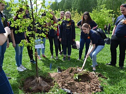 ��������������� ����������� �� ����� ���� �������