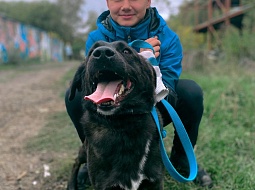 ����������������� ����� � ������ ��������